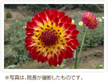 風景写真（院長撮影）